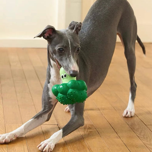 Peachfield & Co. x zeze Broccoli Latex Squeaky Dog Toy