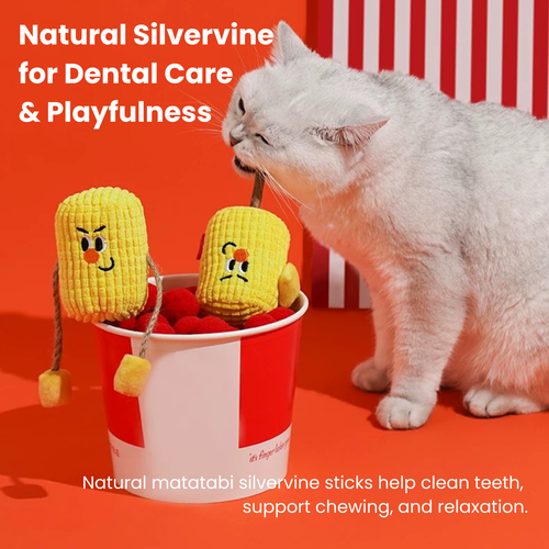 Peachfield & Co. x zeze Silvervine Matatabi Wood Pet Toy With Catnip
