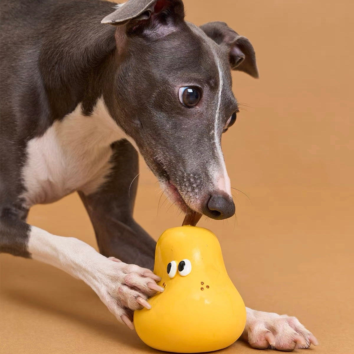Peachfield & Co. x zeze Pear Latex Squeaky Dog Toy