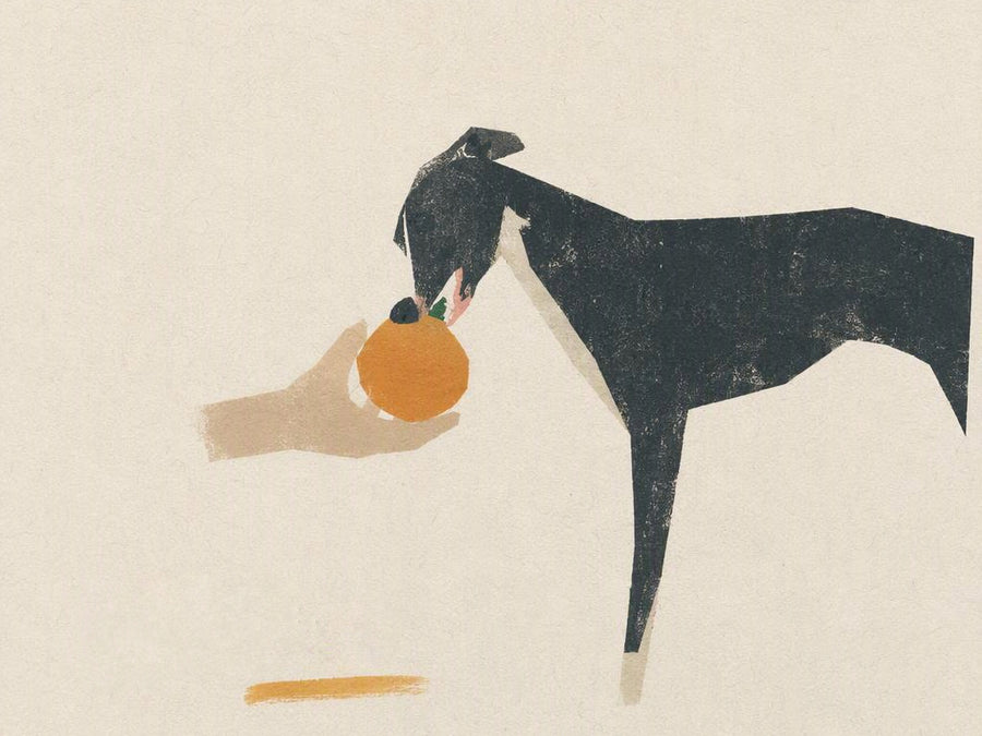 Peachfield & Co. x zeze Mandarin Orange Latex Squeaky Dog Toy
