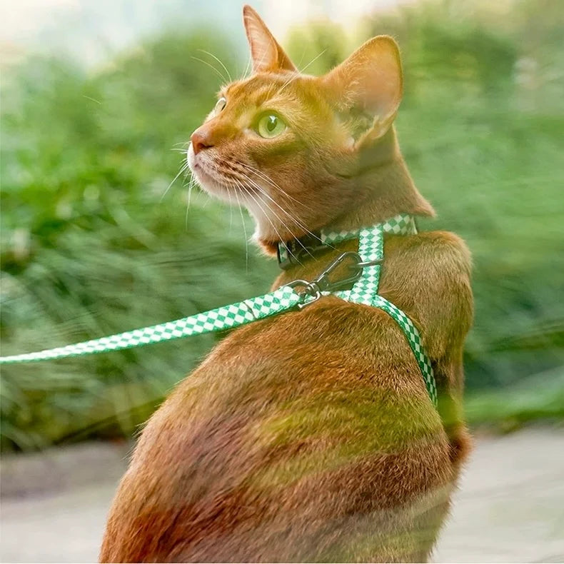Peachfield & Co. x zeze Mid-Green Checkered Dog Harness & Lead Set