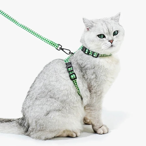 Peachfield & Co. x zeze Mid-Green Checkered Dog Harness & Lead Set