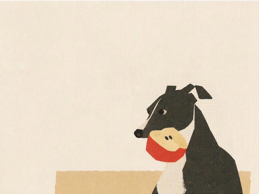 Peachfield & Co. x zeze Half Apple Latex Squeaky Dog Toy
