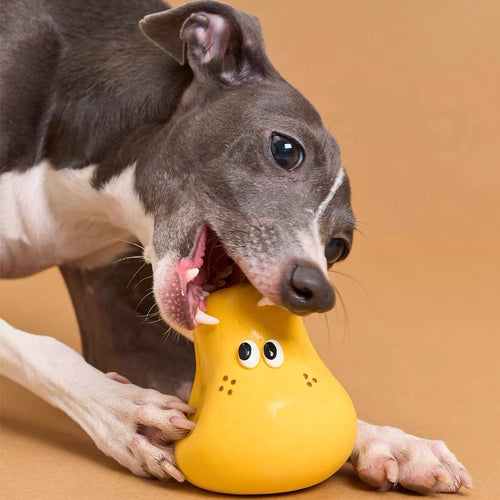 Peachfield & Co. x zeze Pear Latex Squeaky Dog Toy