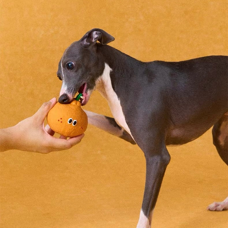 Peachfield & Co. x zeze Mandarin Orange Latex Squeaky Dog Toy
